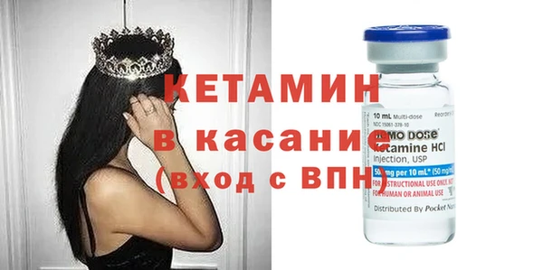 гашик Алексин