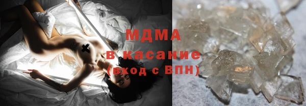гашик Алексин