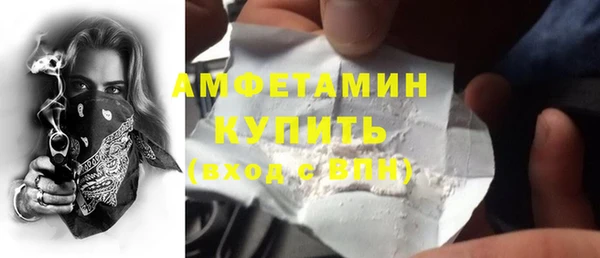 гашик Алексин