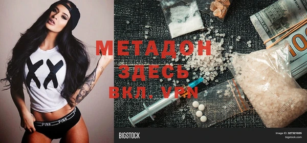 гашик Алексин