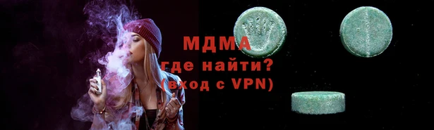 гашик Алексин