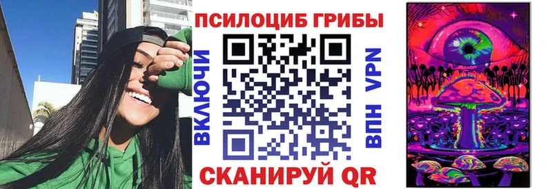 купить   Октябрьск  Псилоцибиновые грибы Cubensis 